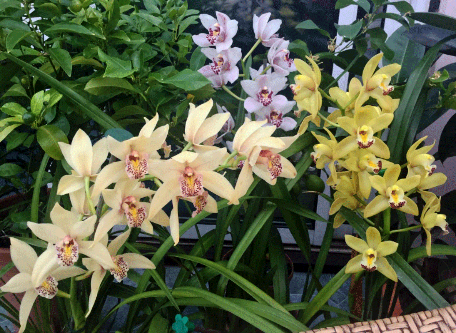 photo-2019-01-06-10-18-16